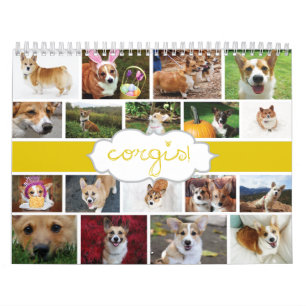2013 Corgis! Calendário