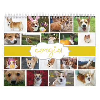 2013 Corgis! Calendário