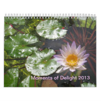 2013 momentos do calendário do prazer