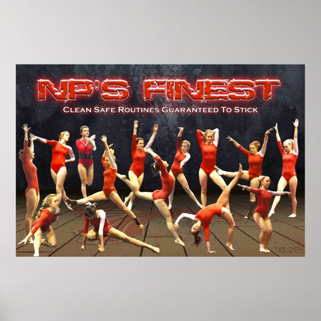2013 New Palestine Gymnastics Poster (Frente)