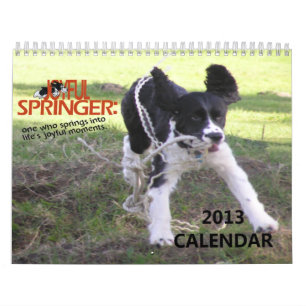 2013 Springer alegres calendário de 12 meses