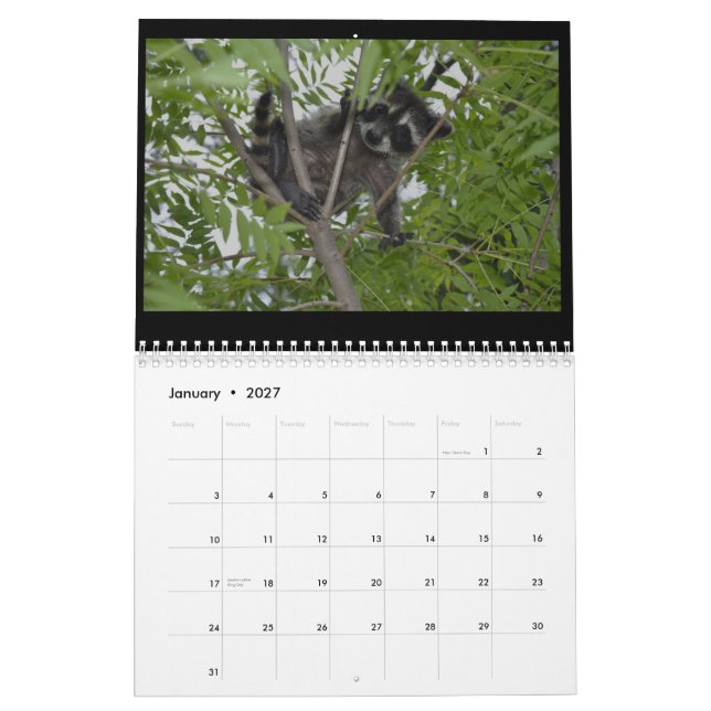 2014 calendário dos animais selvagens - guaxinins (Jan 2027)