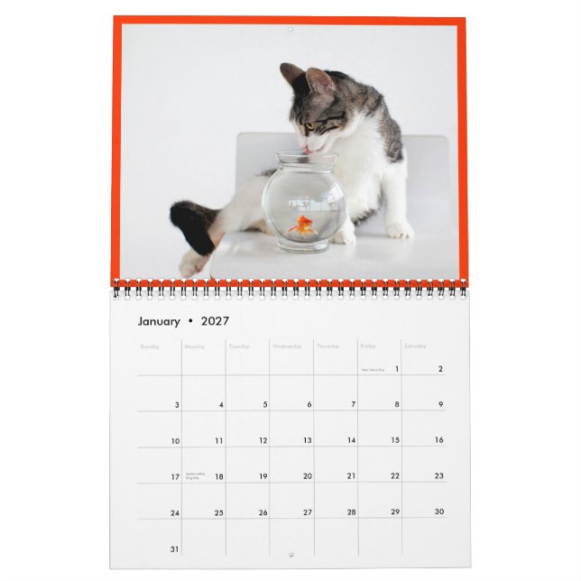 2014 Corky o calendário do gato do berço (Jan 2027)
