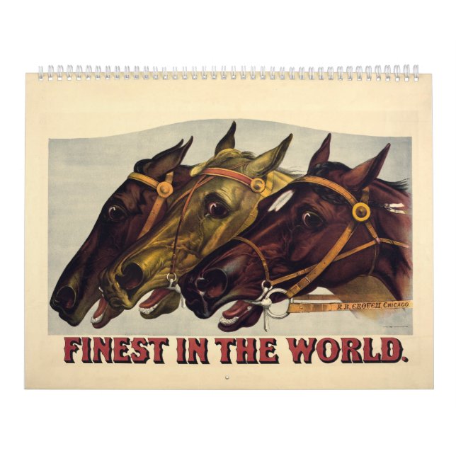 2014 mais fino do calendário de mundo (Capa)