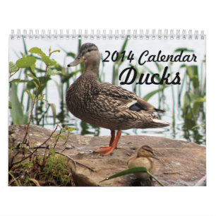 2014 patos do calendário