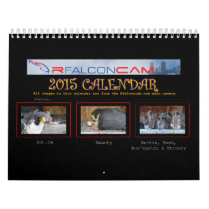 2015 calendário - colagens principais da came