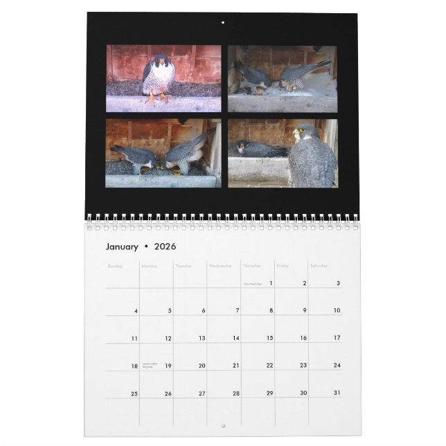 2015 calendário - colagens principais da came (Jan 2026)