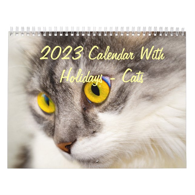 2015 calendário com feriados - gatos (Capa)