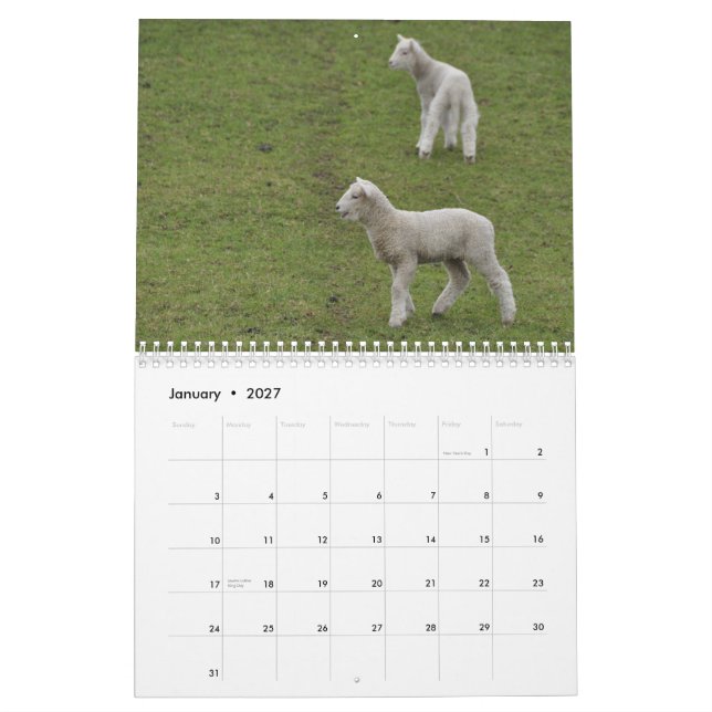 2015 carneiros do calendário de Nova Zelândia (Jan 2027)