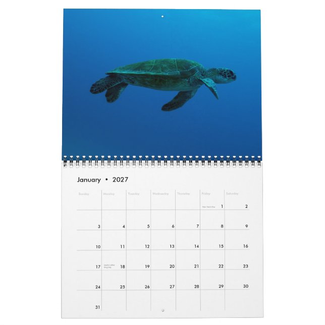 2015 Tartarugas do Calendário do Mar de Coral (Jan 2027)