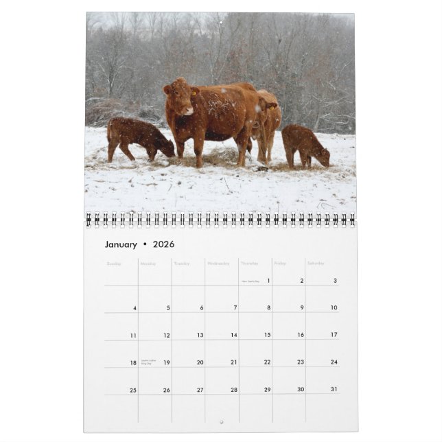 2015 vacas do calendário (Jan 2026)