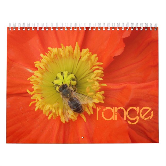 2016 a cores - calendário (Capa)