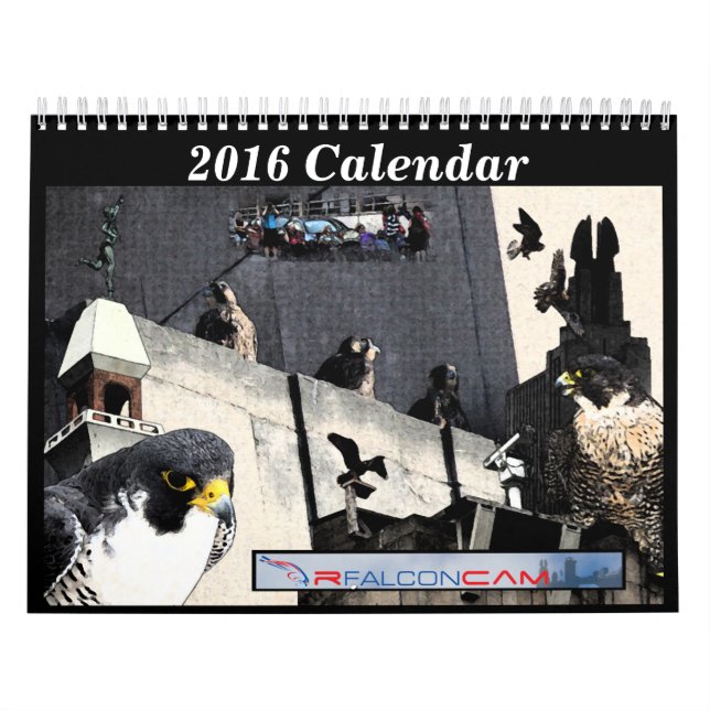 2016 calendário - colagens principais da came (Capa)