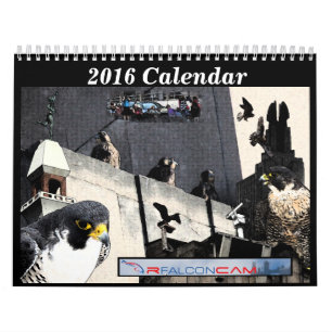 2016 calendário - colagens principais da came