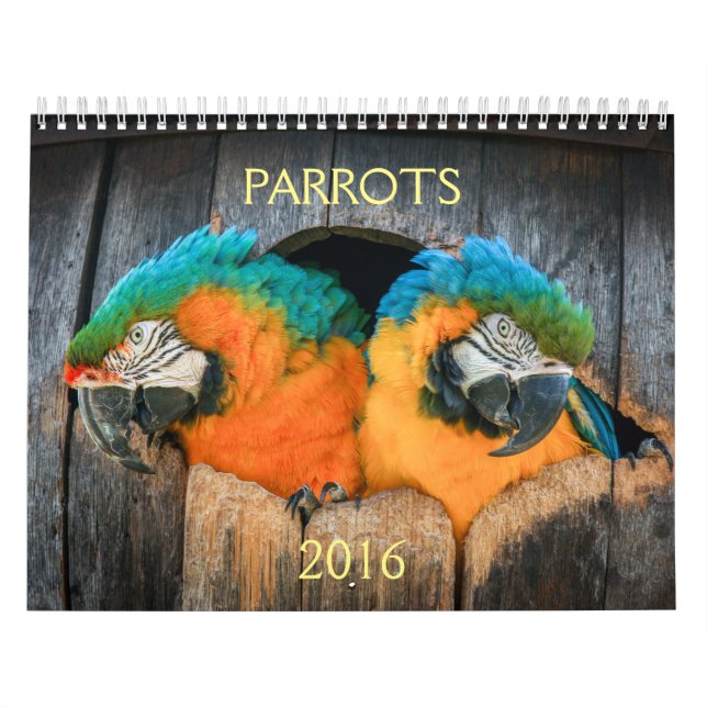 2016 calendário dos papagaios, macaw, amazon, (Capa)
