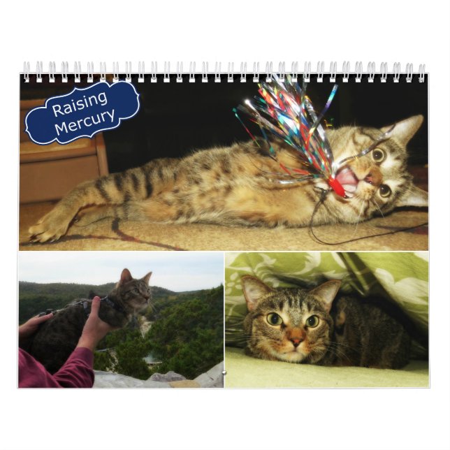 2016 calendários de levantamento de Mercury (Capa)