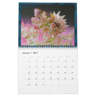 2017 calendário médio/grande de MANTIDFORUM