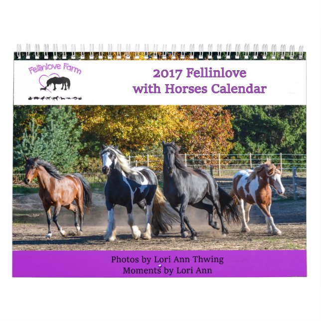 2017 Fellinlove com calendário dos cavalos (Capa)