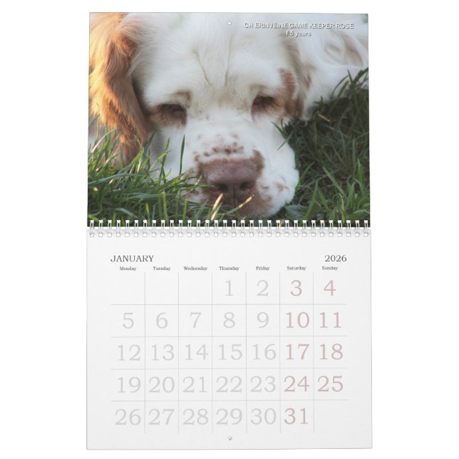 2019 calendário de Erinveine - Spaniels de Clumber (Jan 2026)