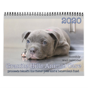 2020 Calendário do Muro de Cuidados Animais Grani