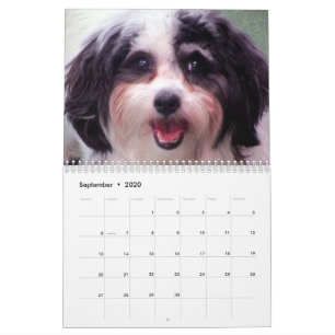 2020 calendários bonitos do cão de K-ECO Zuchon