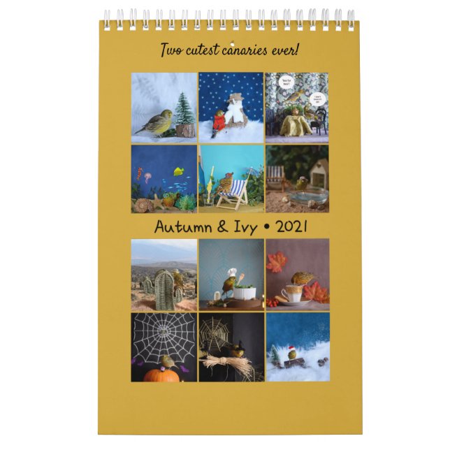 2021 Calendário das Aves Cachorras Canário (Capa)
