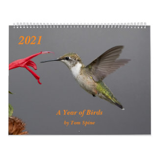 2021 ~ Calendário de um ano de aves