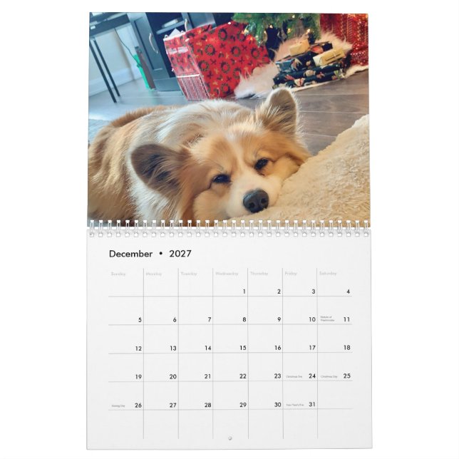 2021 Calendário Fluffy Corgi de Hudson (Dez 2027)