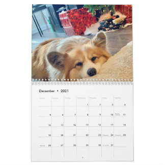 2021 Calendário Fluffy Corgi de Hudson