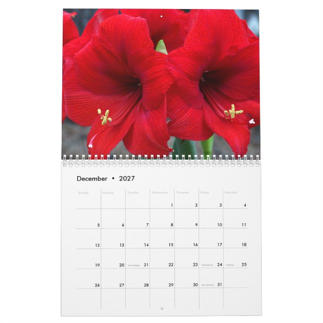 2021 do Calendário do Jardim do Lin (Dez 2027)