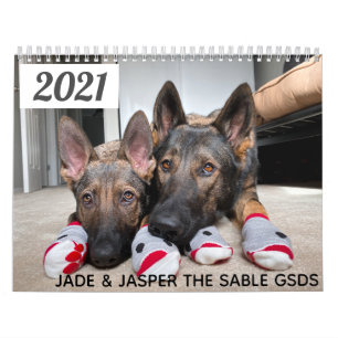 2021 Jade & Jasper o calendário do Sable GSD