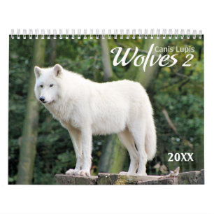 2021 Lobos 2 Calendário de Fotografia de Vida Selv