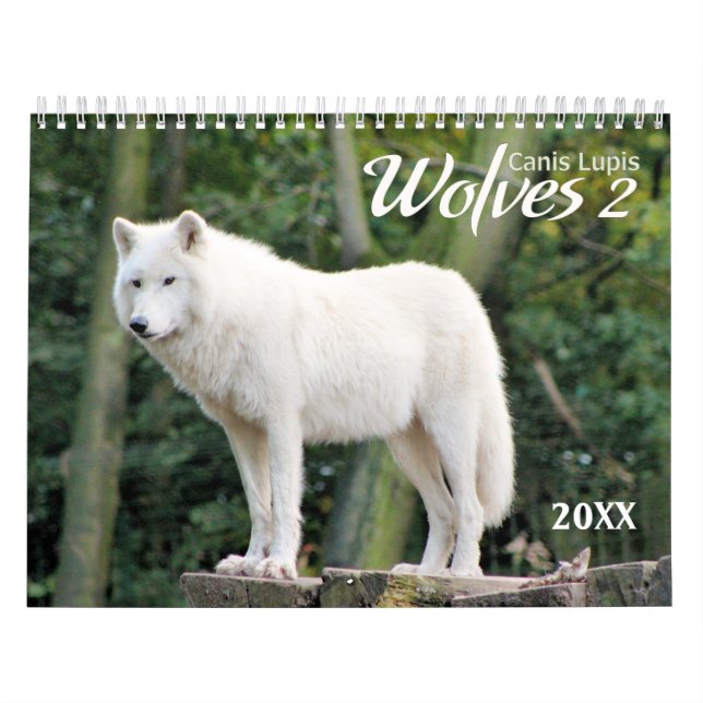 2021 Lobos 2 Calendário de Fotografia de Vida Selv (Capa)