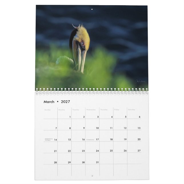 2022 Calendário de Parede de Belas Aves (Mar 2027)
