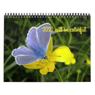 2022 será um calendário colorido