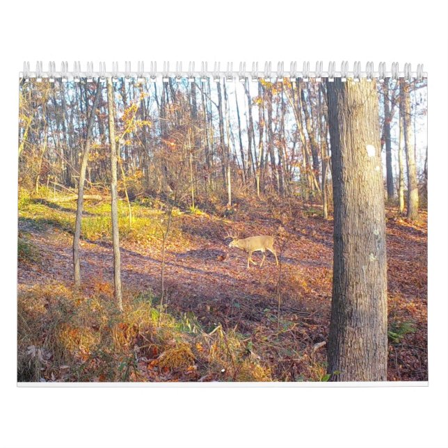 2023 Animais da Natureza Calendário (Capa)