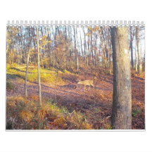 2023 Animais da Natureza Calendário