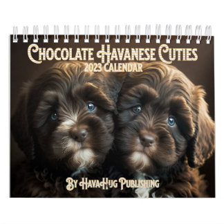 2023: Calendário da colheita no Havanês do Chocola