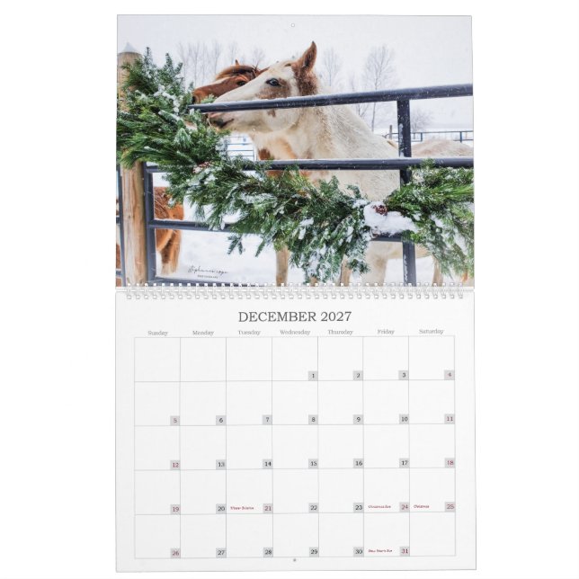 2023 - Calendário do Ano do Mustang em Michigan (Dez 2027)