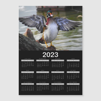 2023 Calendário do Magnet - Pato Lindo Madeira
