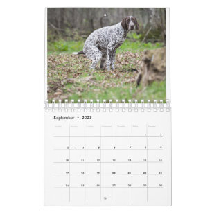 2023 Calendário dos Cães Pooping
