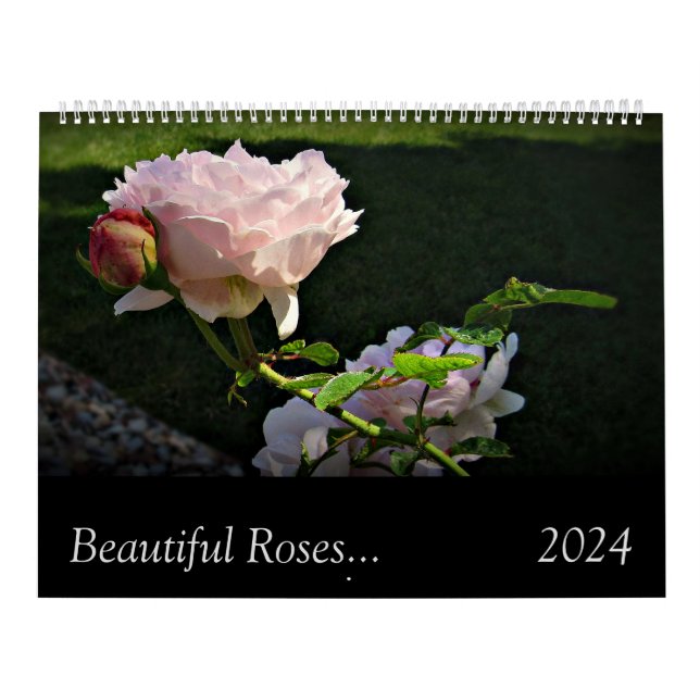 2024 Belos Rosas2 Calendário de Parede Grande com  (Capa)