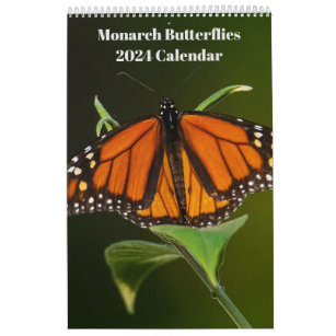 2024 Borboletas Monarch Calendário de Uma Página