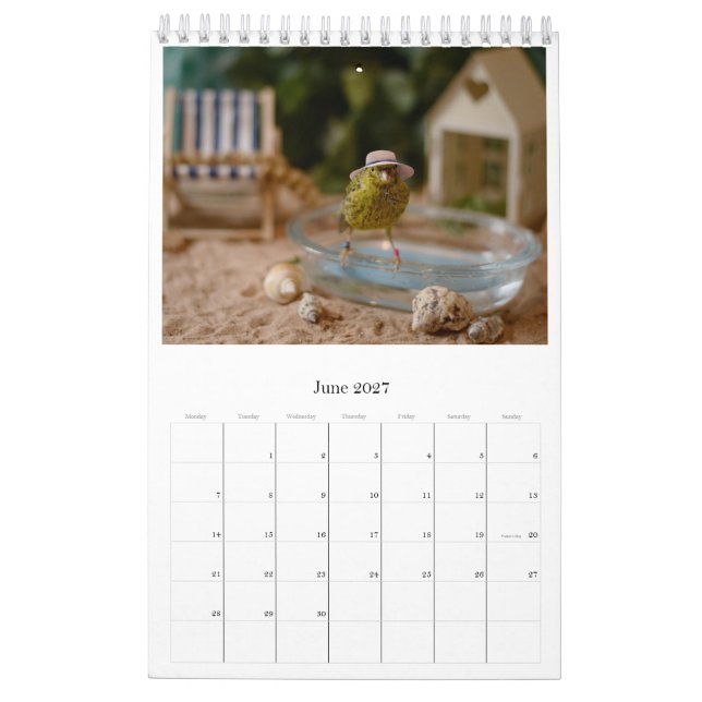 2024 Calendário das Muralhas Aves Cudas Canárias (Jun 2027)