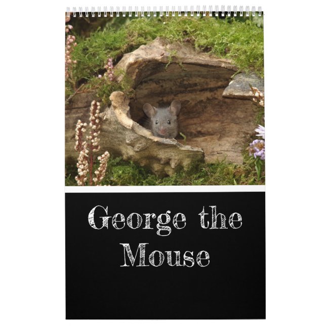 2024 George o mouse em um calendário de lojas (Capa)