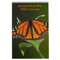 2025 Borboletas Monarch Calendário de Uma Página