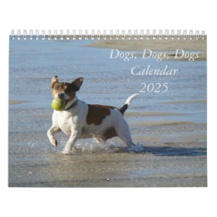 2025 Calendário dos cães, cães