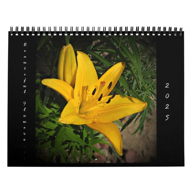 2025 Lindas Flores Calendário de Parede Média (Capa)