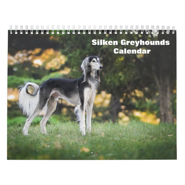 2025 Silken Greyhounds Puppies Calendário (Capa)
