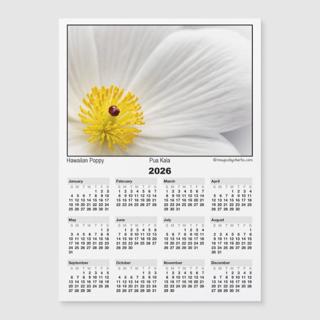 2026 5x7 Magnet Calendar Pua Kala Hawaiian Poppy (Frente)